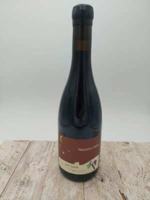 Menetou Salon Eric Louis rouge